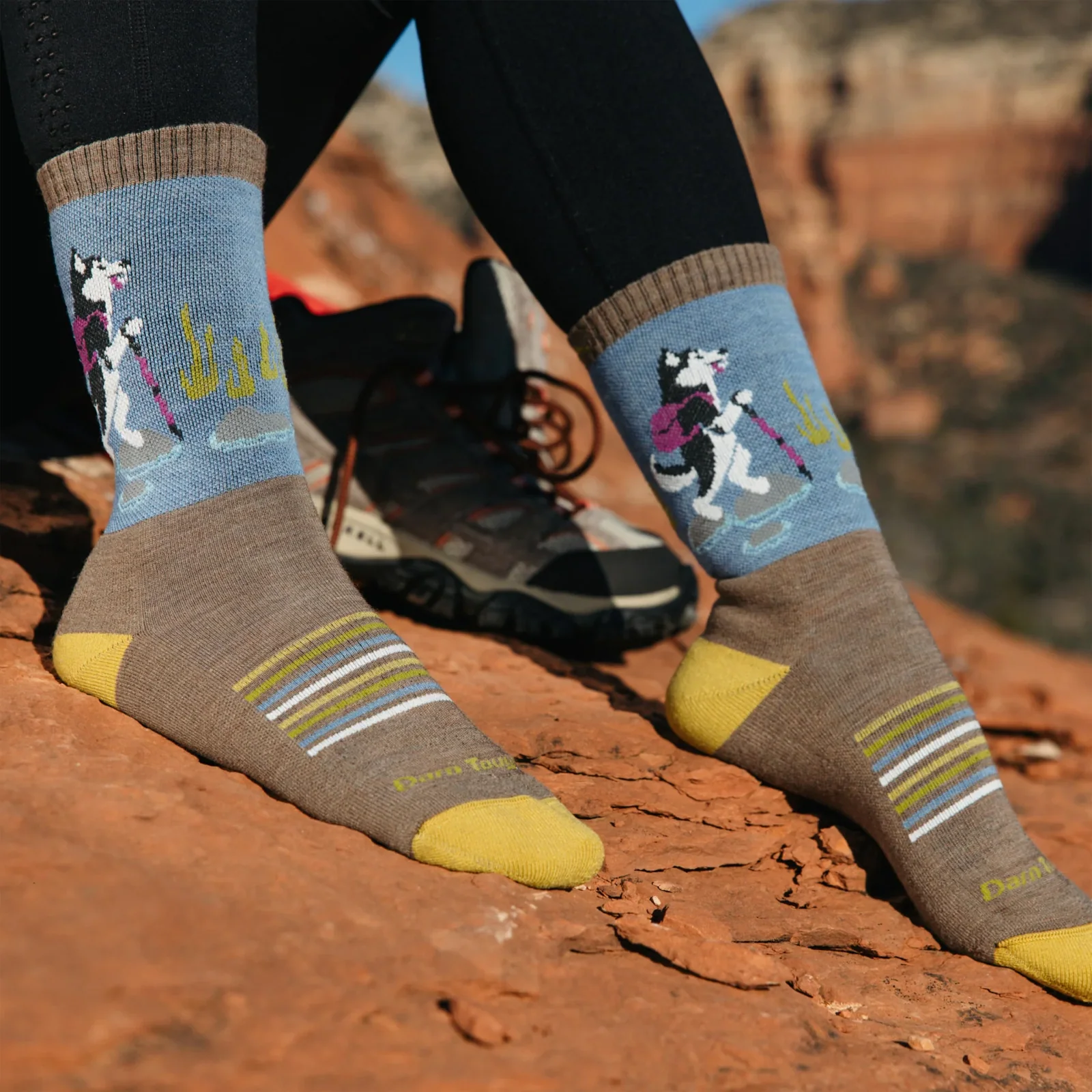 Darn Tough Critter Club Lightweight Micro Crew Sock with Cushion (Women) - Bark - Image 4