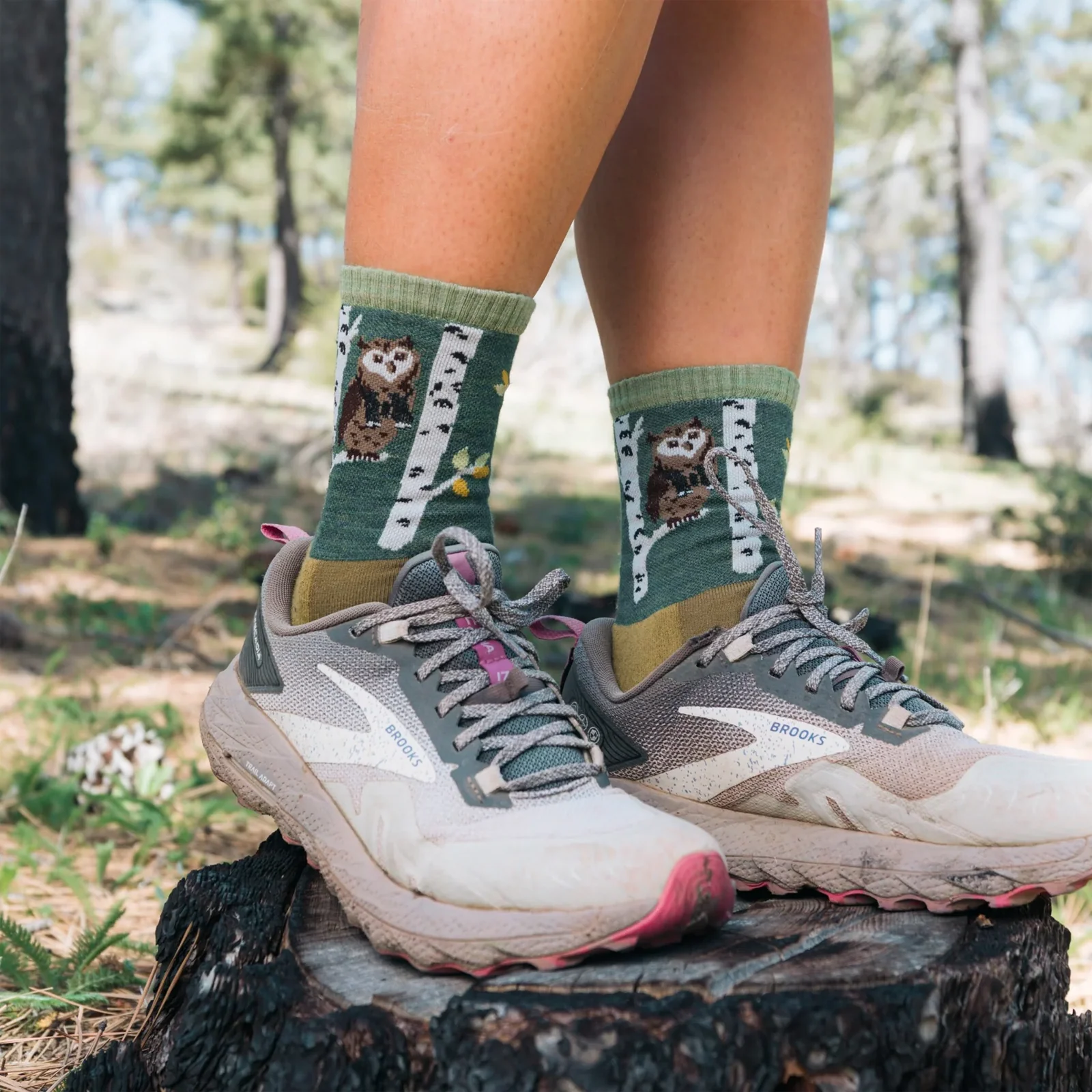 Darn Tough Critter Club Lightweight Cushion Micro Crew Sock (Women) - Owl Green - Image 2