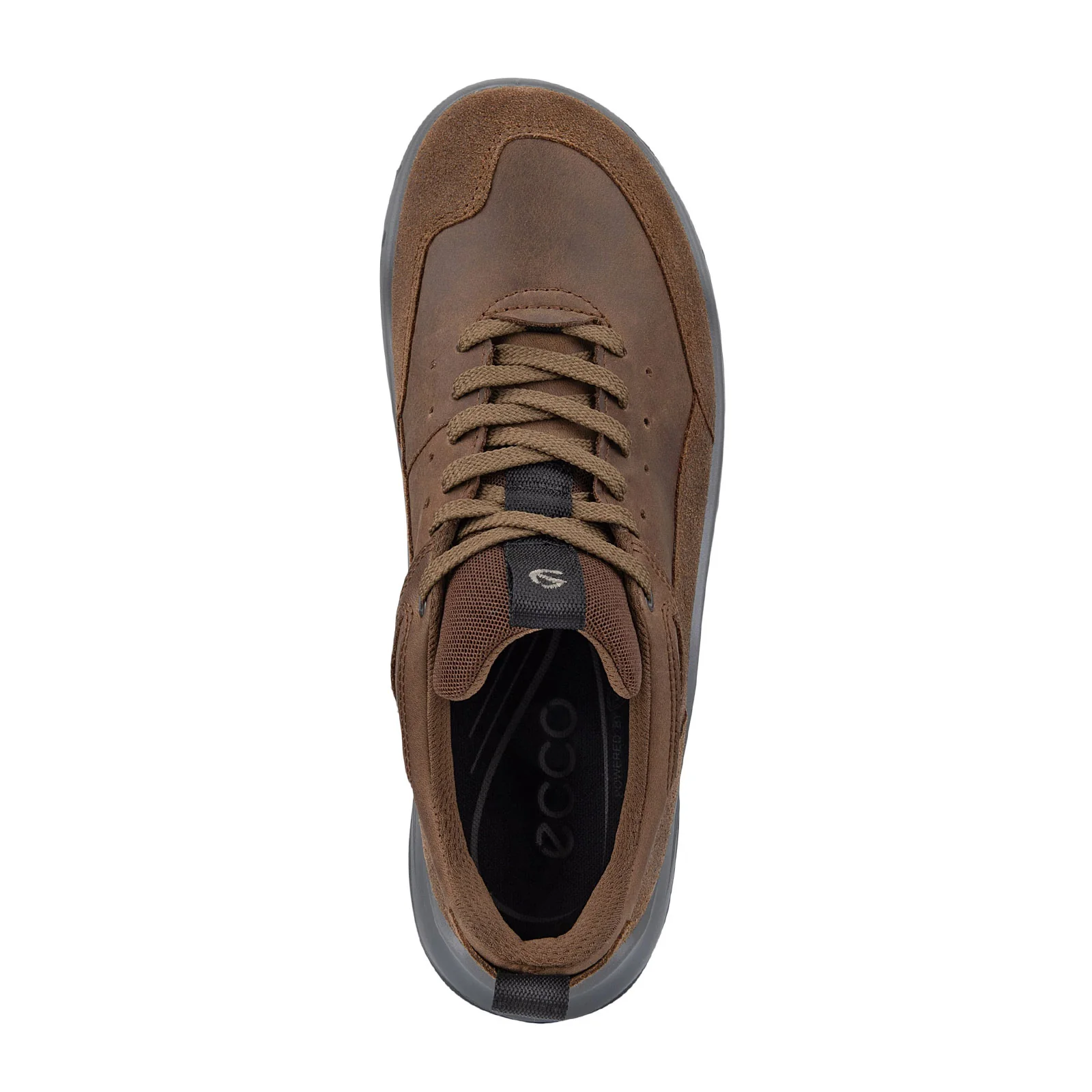 ECCO Offroad Low Walking Shoe (Men) - Cocoa Brown/Cocoa Brown - Image 3